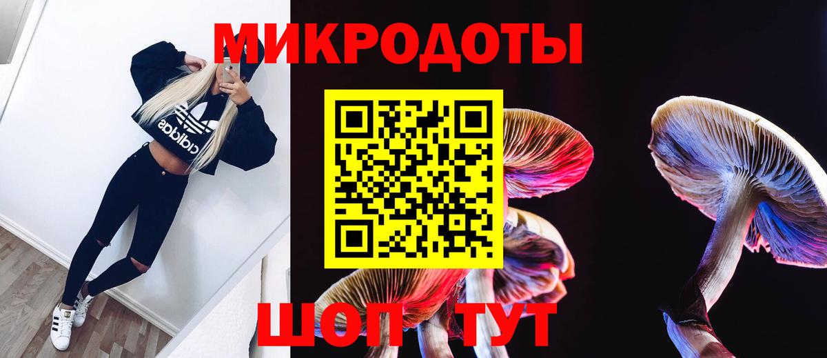 Нижний Новгород  Галлюциногенные грибы Cubensis  Вход с VPN 